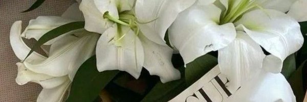 exteits Profile Banner