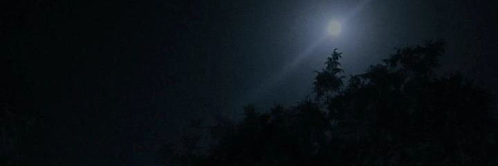 Daarboni's profile banner image