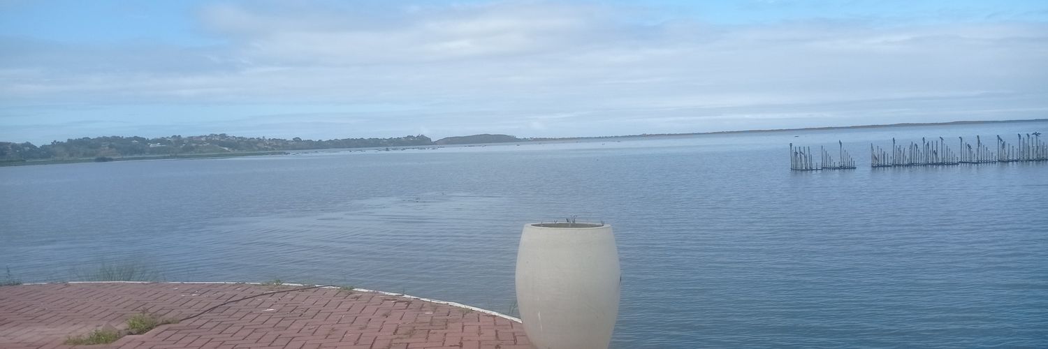 titylei's profile banner image