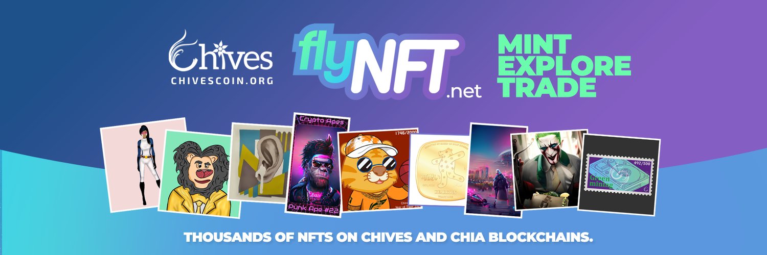 FlyNFT banner