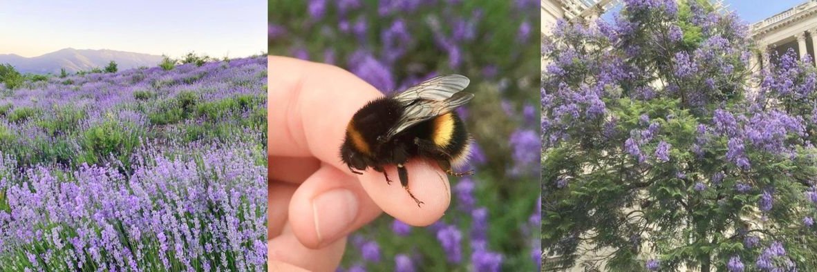 ⋅ʚAndyɞ⋅ banner