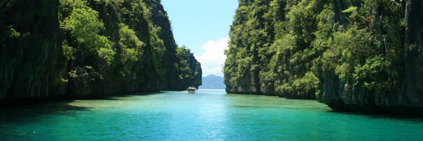 LONG LIVE LIBERTY, DAMNIT!!!! banner