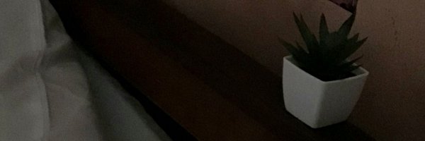 tomtom2lit4u Profile Banner