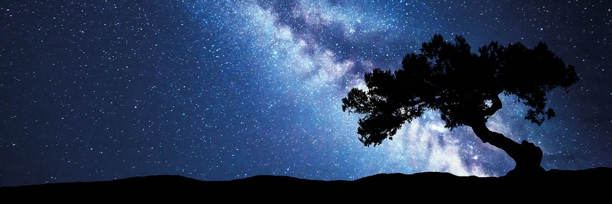 IlayGold5's profile banner image