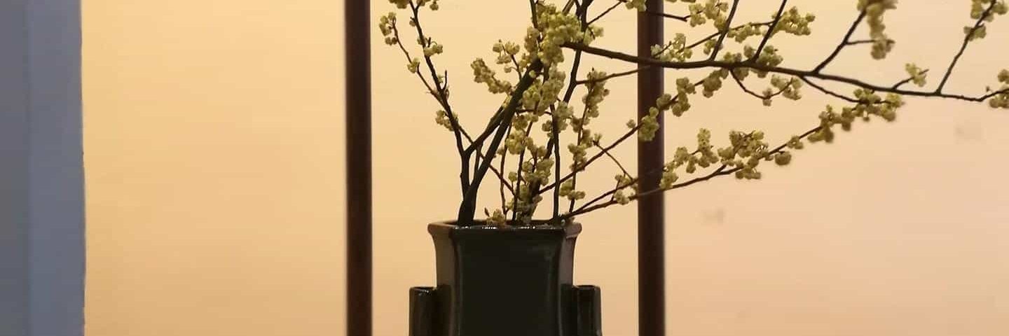 taolin513's profile banner image