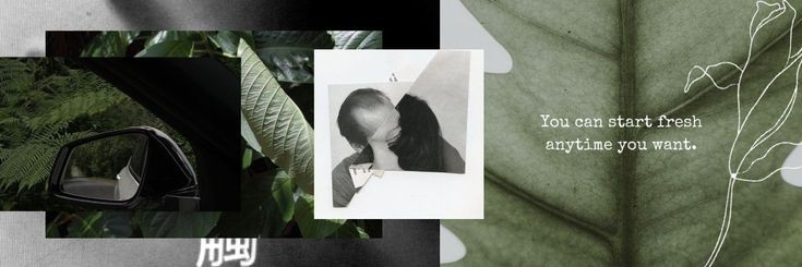 Mushito ☀️ || aus! 📌 banner