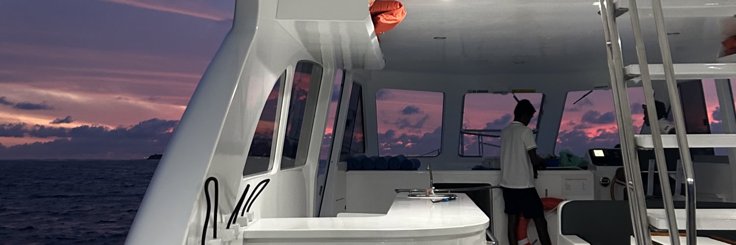 msiqueirar's profile banner image
