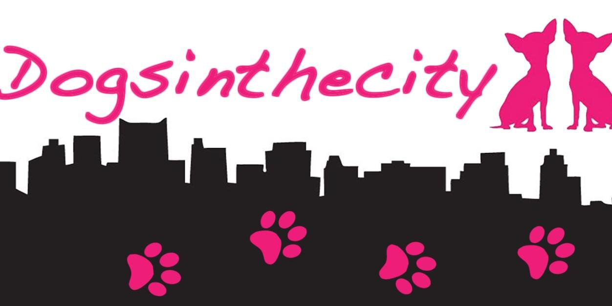 DogsinthecitySP's profile banner image