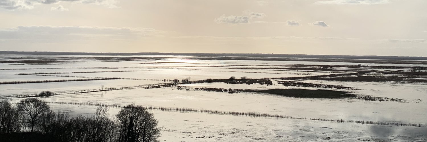 FoxyDigital_Art 👹🎌 banner