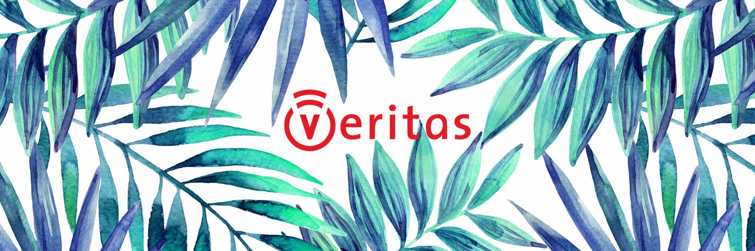 Veritas banner