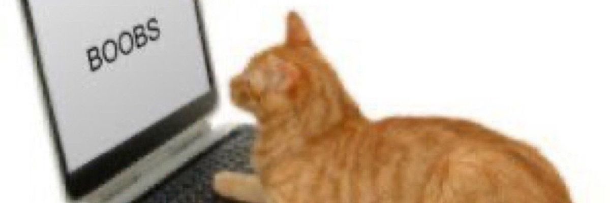 sibyll1n3's profile banner image