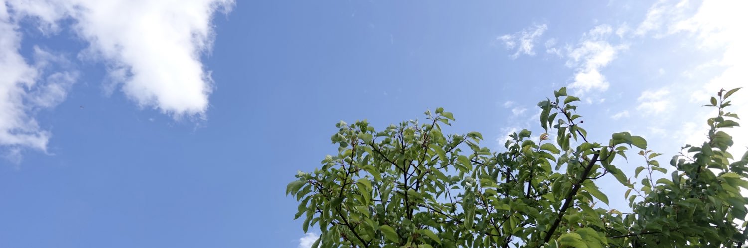 kon55's profile banner image