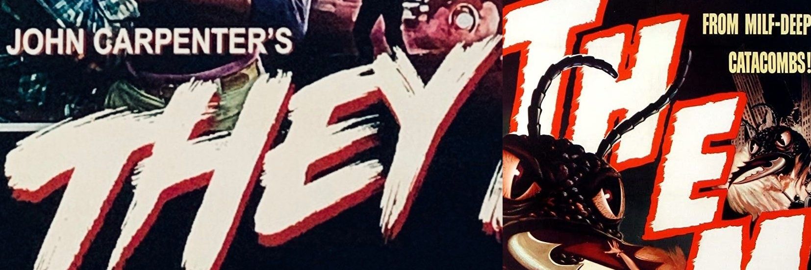 Petra Skelton 🏳️‍⚧️ banner