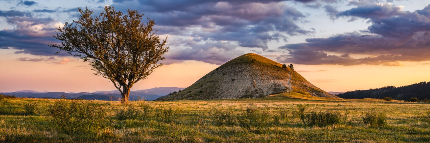 GauloisDuMilieu banner