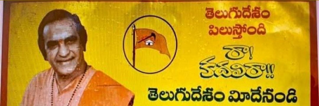 Ds banner