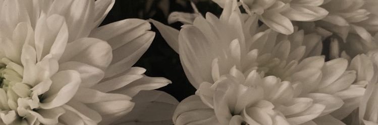 21 banner