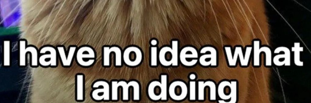 Tomejo 🍅🐰 banner