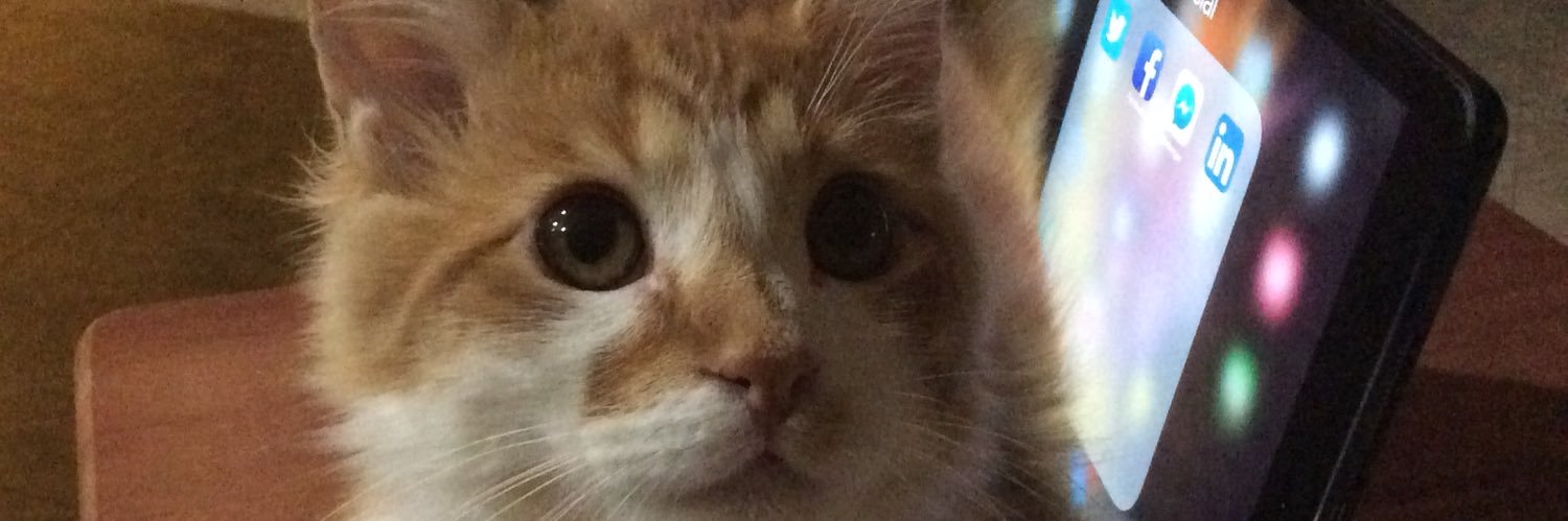 Beaudo1's profile banner image