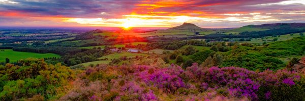 NovaMusicOpera Profile Banner