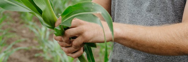 ndcorn Profile Banner