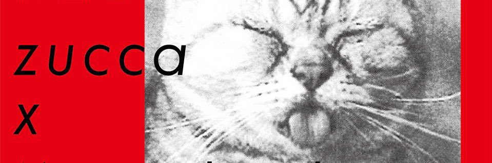 猫写真家 沖 昌之 (MASAYUKI OKI)'s banner