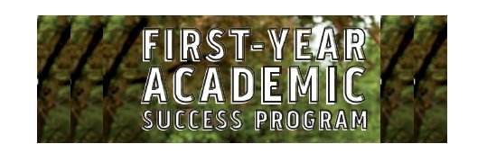 DePaulFYAS's profile banner image