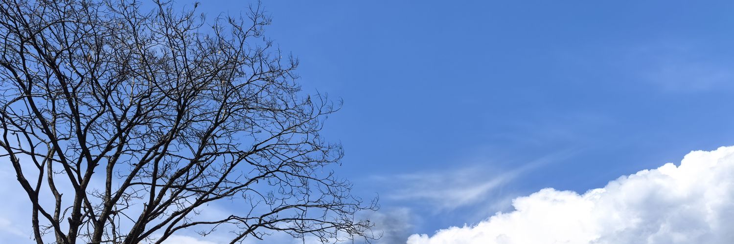 quincyyu4ever's profile banner image