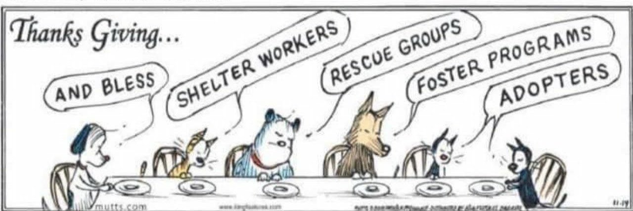 Marley's Mutts Dog Rescue banner