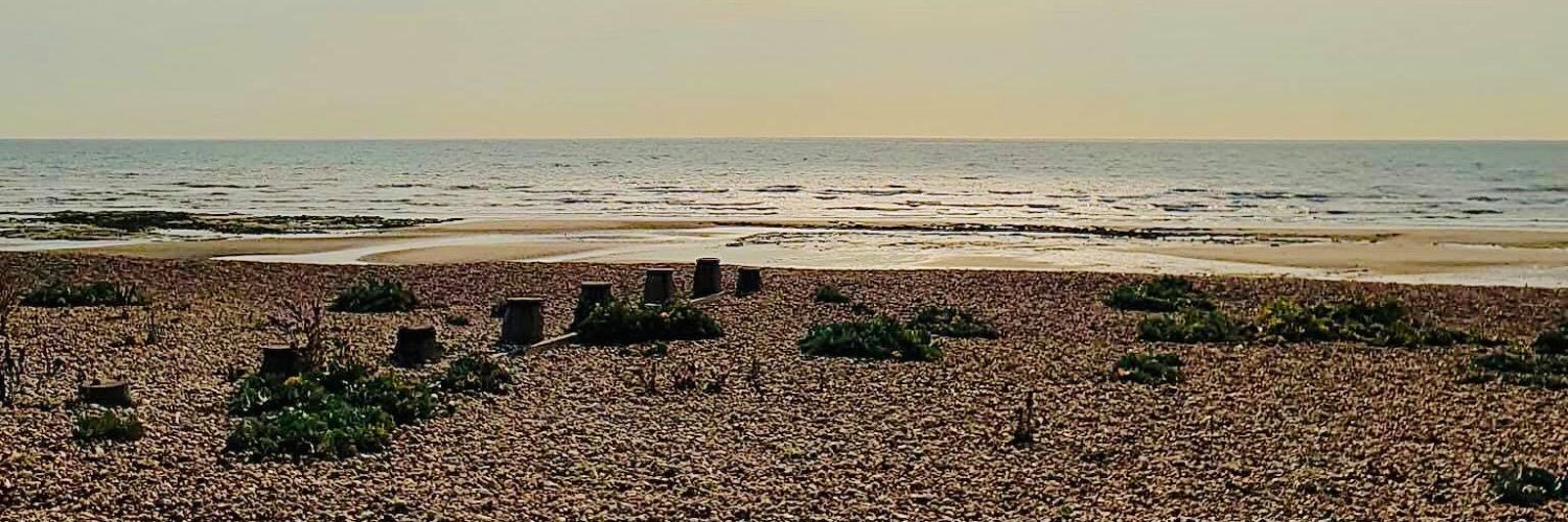 Mark Catchlove banner