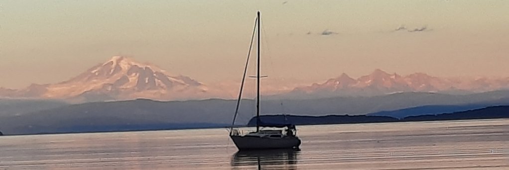 contrarywisdom's profile banner image