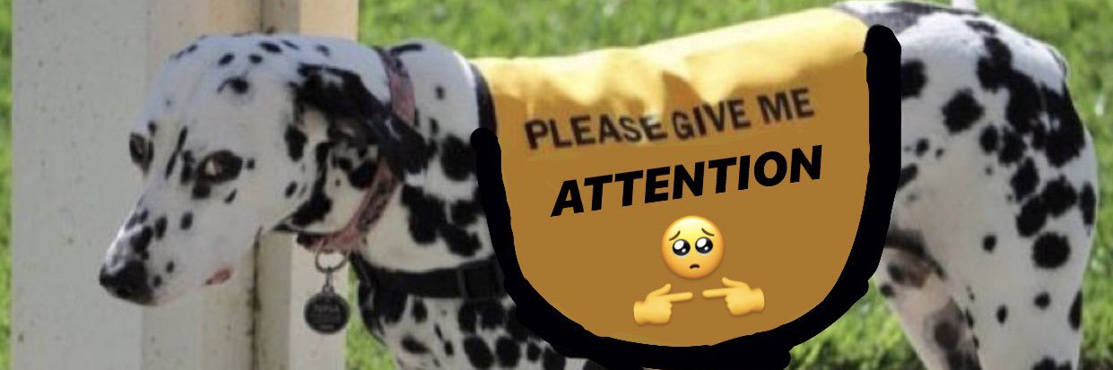 jada_dauberman's profile banner image