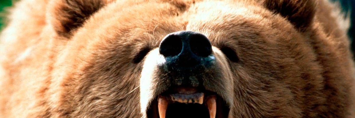 IVANSAMI's profile banner image