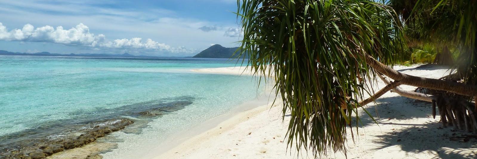 Viaggiatrice seriale banner