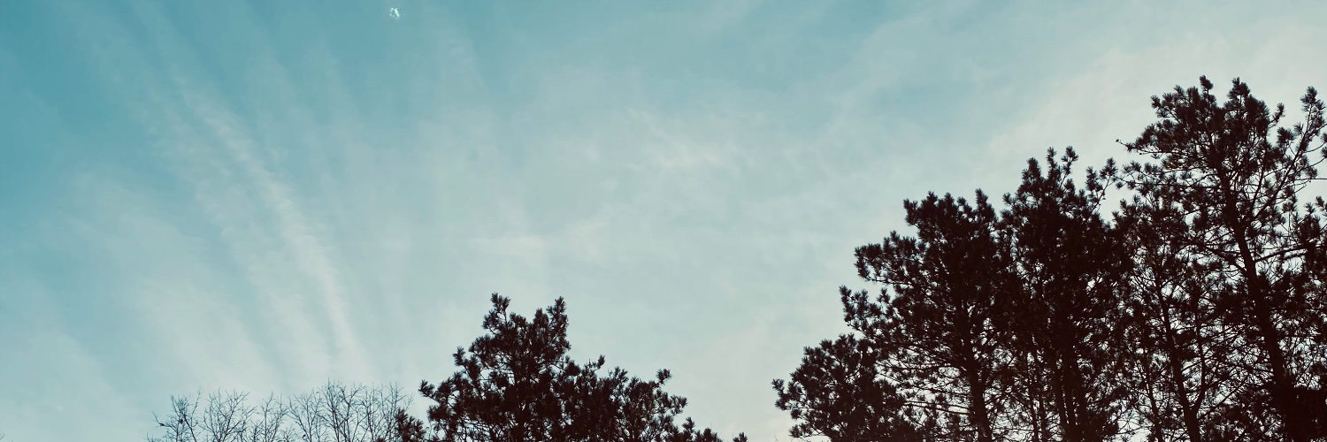 ErinEServey's profile banner image