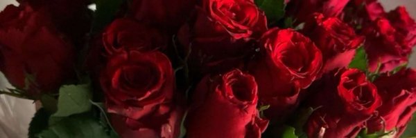 aials2 Profile Banner