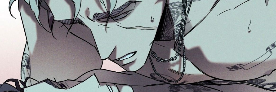 🍉🐻 banner