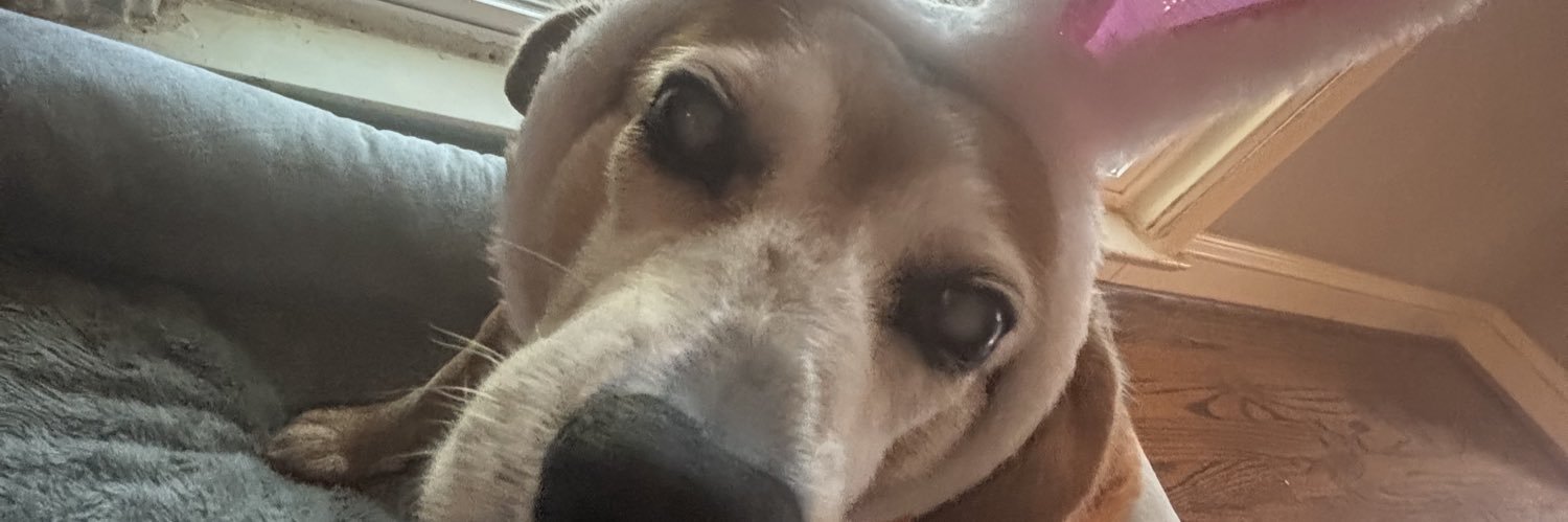 s00t_case's profile banner image
