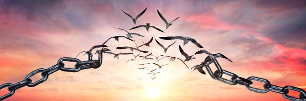 Freedom World🗽5k banner