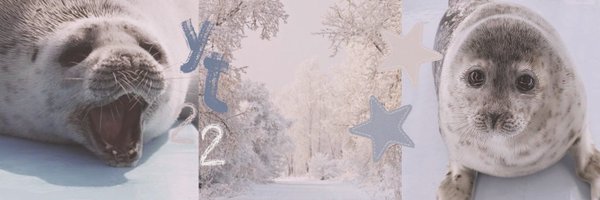 sealnoda Profile Banner