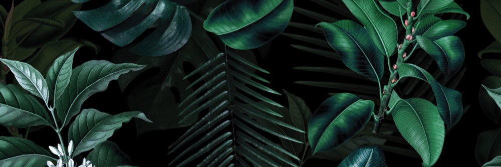 Hillaryalexa_'s profile banner image