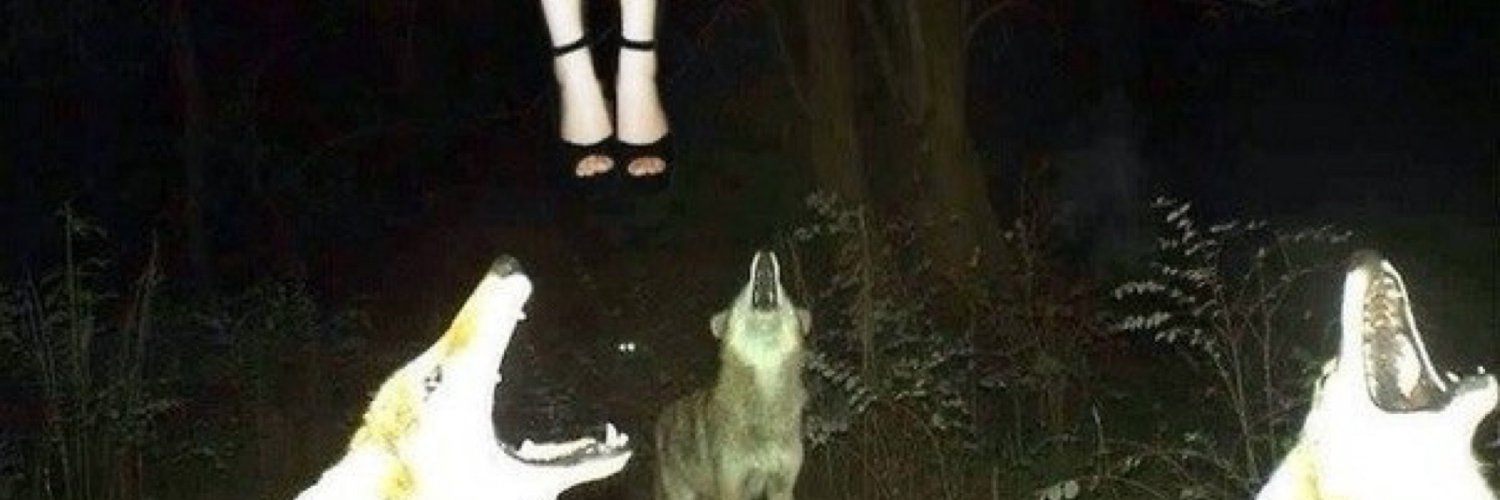hauntedhost0's profile banner image