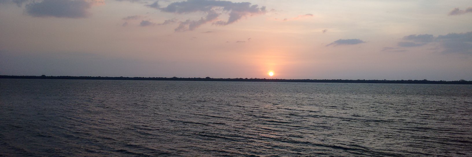 Bora, Papão 🐺 banner