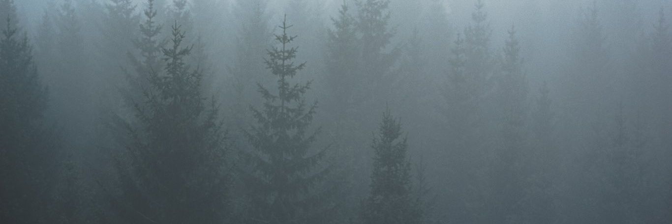 carolinaccrt's profile banner image