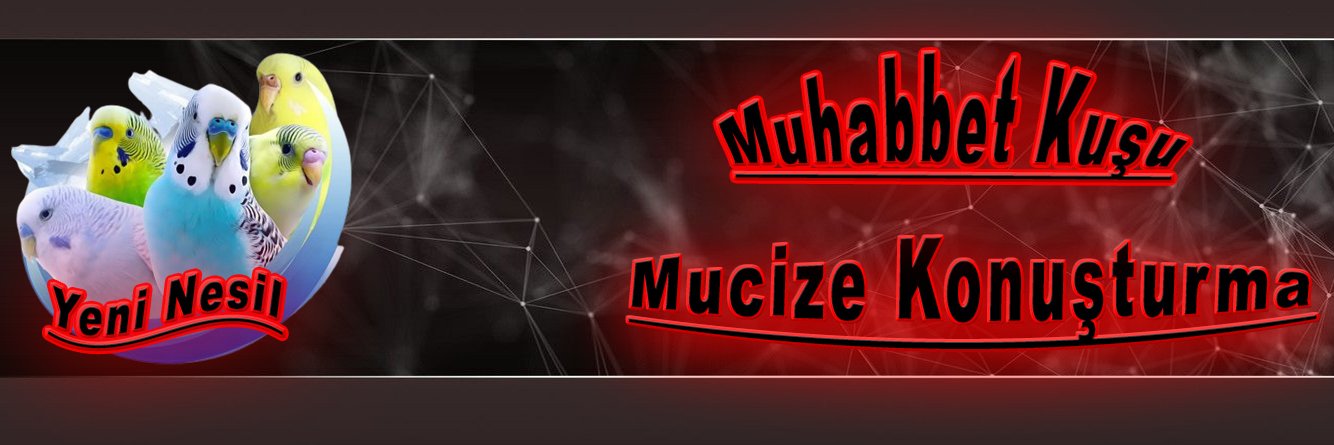mudanyaavm's profile banner image