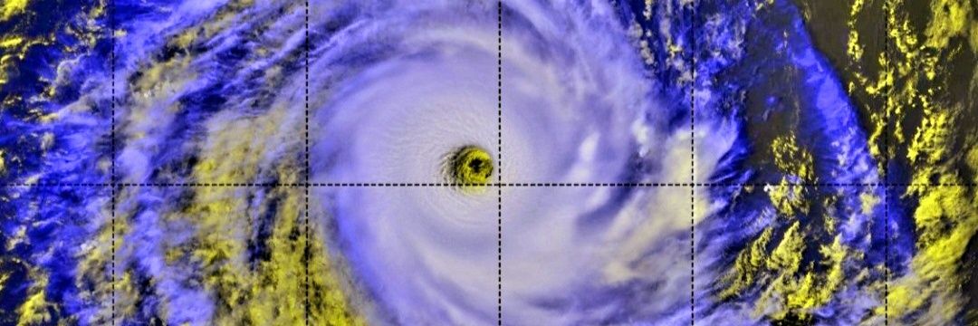 Miguel Gonzalezᶜʳᶠ banner