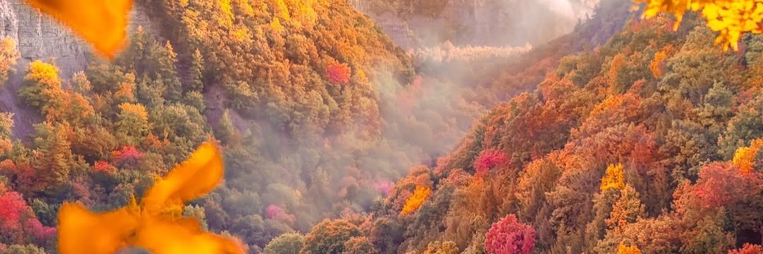 Finger Lakes Travel banner