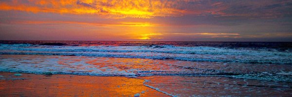 Robert_the3rd Profile Banner