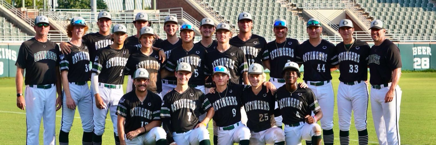 Roman Bovelsky banner