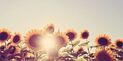KaseStick's profile banner image