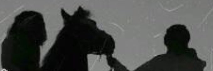 u8o120's profile banner image
